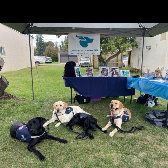 Meet your Posher, Annaka - Picture 6 of 6